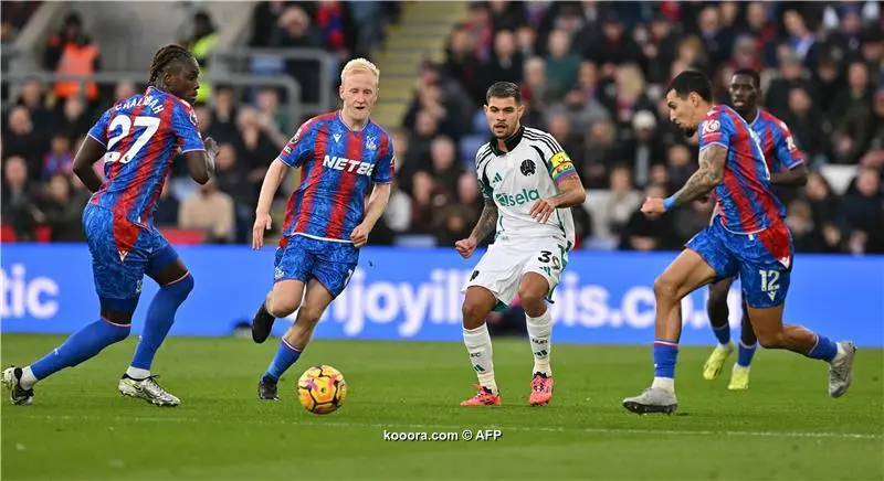 leicester city vs brighton