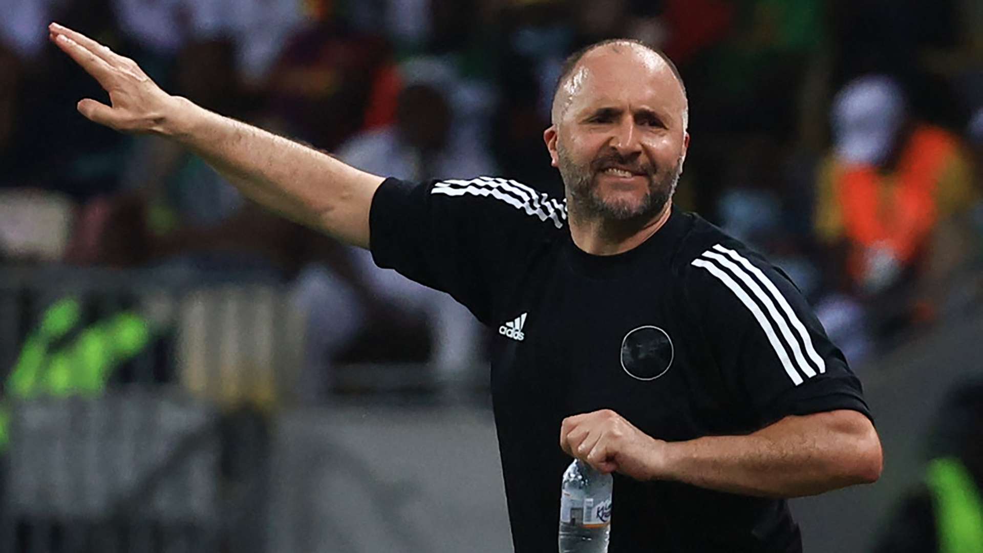 Djamel Belmadi Algeria