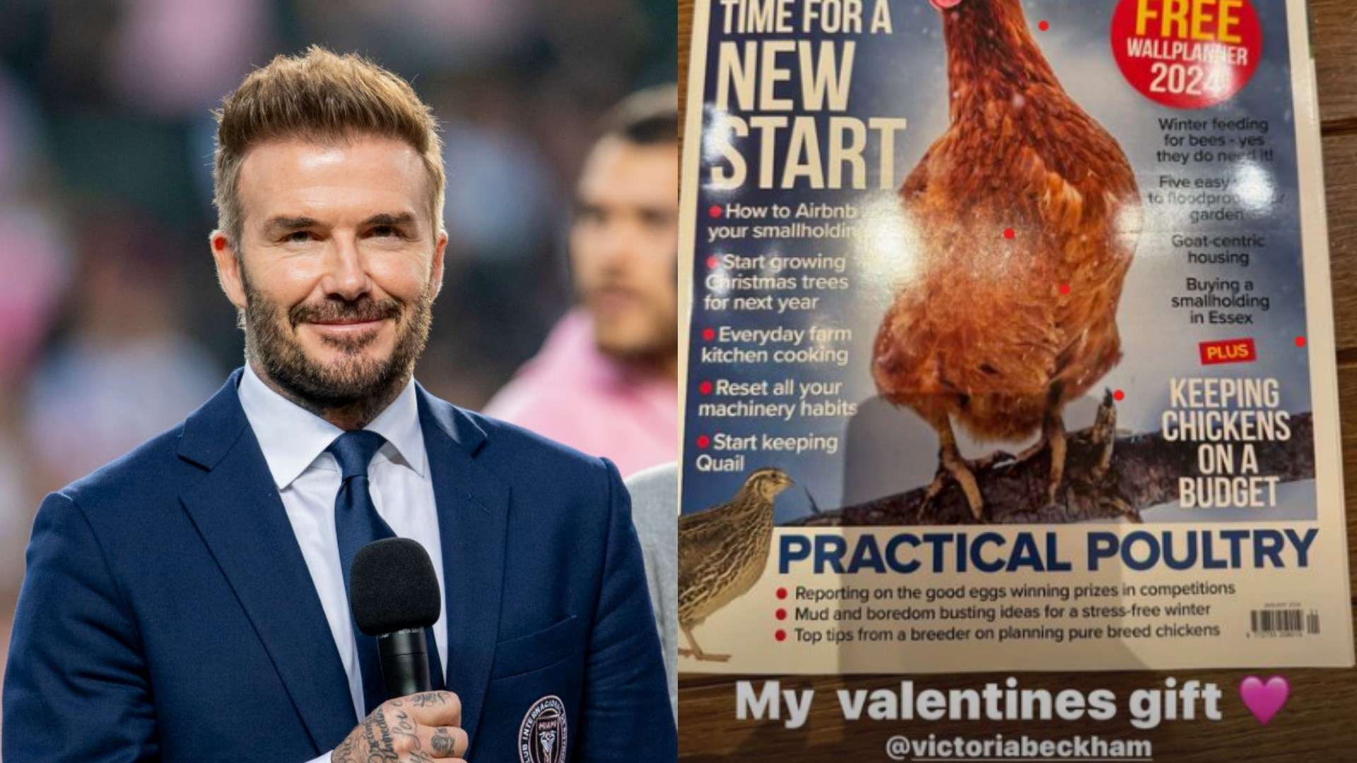 David and Victoria Beckham and chickens