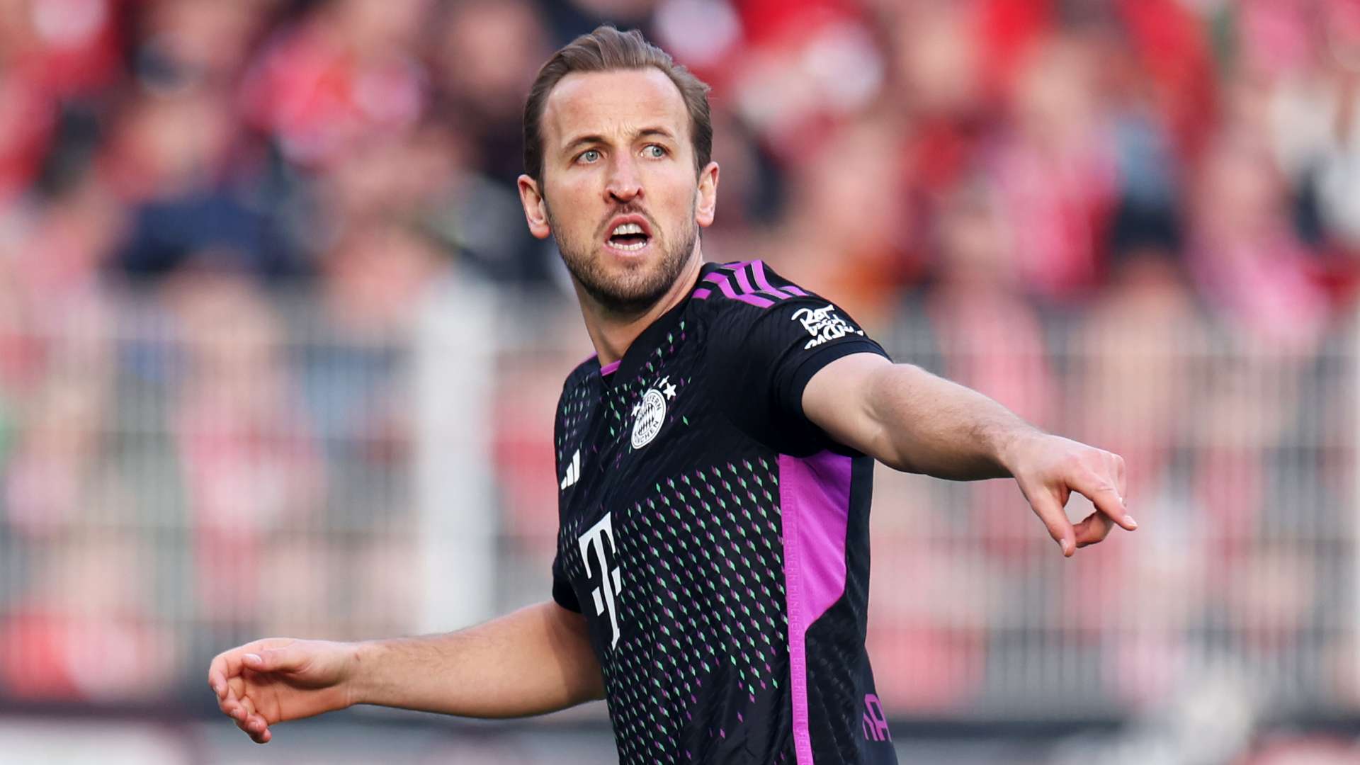 Harry Kane Bayern Munich 2023-24