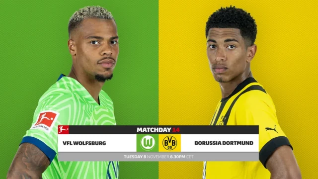 dortmund vs hoffenheim