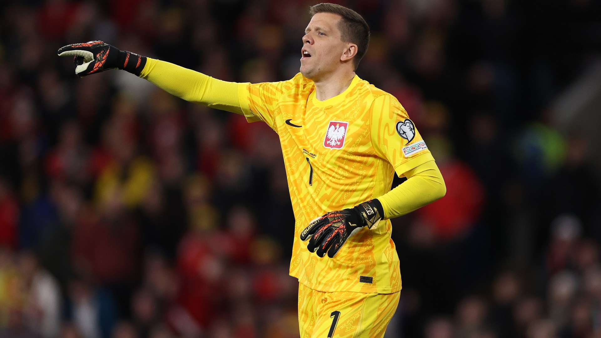 Wojciech Szczesny of Poland challenged