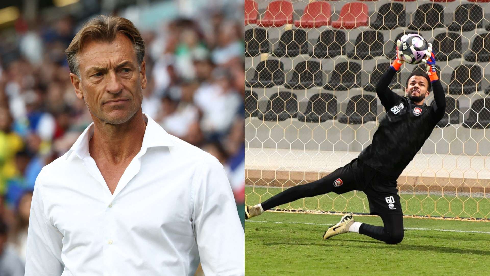 Mashari Sanyour Herve Renard