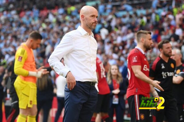 dortmund vs hoffenheim