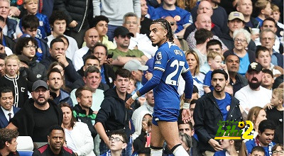 leicester city vs brighton