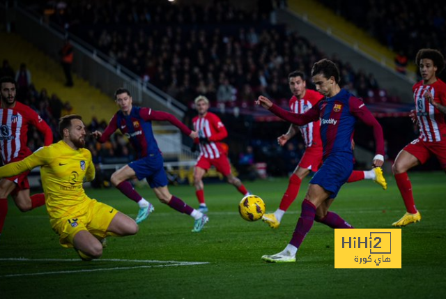 dortmund vs hoffenheim