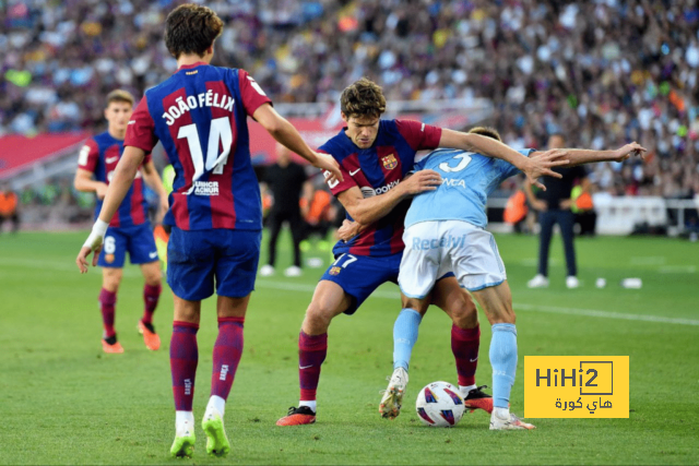 dortmund vs hoffenheim