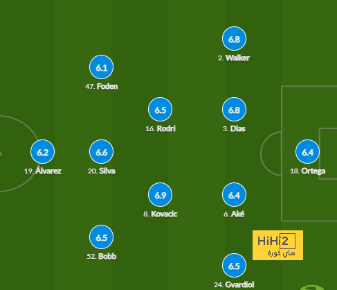 dortmund vs hoffenheim