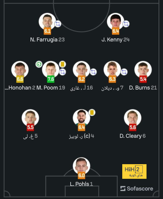 dortmund vs hoffenheim