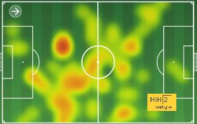 dortmund vs hoffenheim