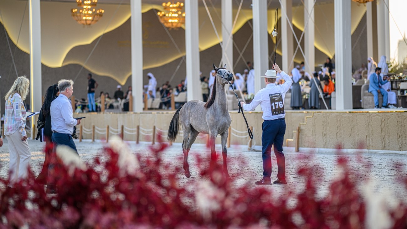 ميانمار ضد إندونيسيا