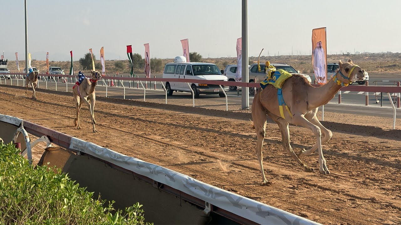 الاتحاد الألماني يتضامن مع الحكم ضد شكوى بوخوم 