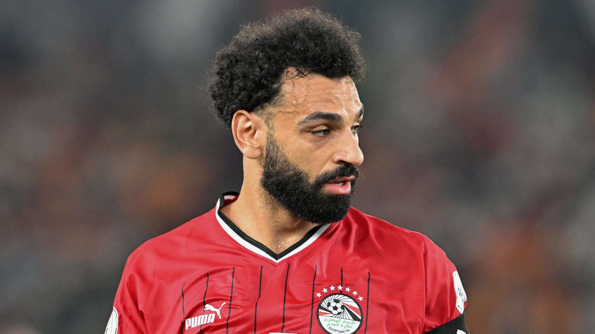 الاتحاد الإيفواري يتحرك لاستعارة رينارد حتى نهاية كأس أمم إفريقيا 