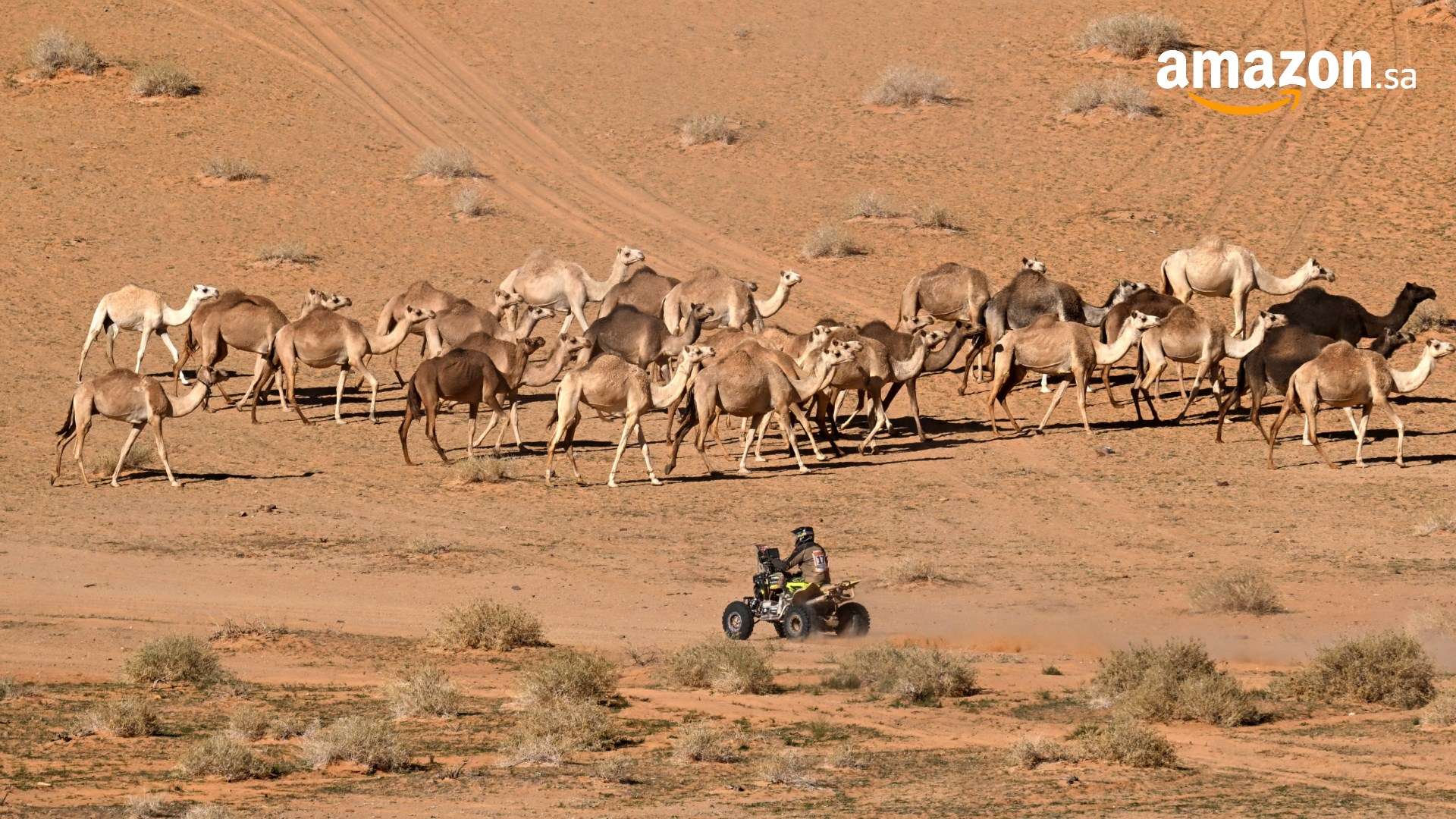 عاجل.. تحديد ميزانية الصفقات لأندية دوري روشن 