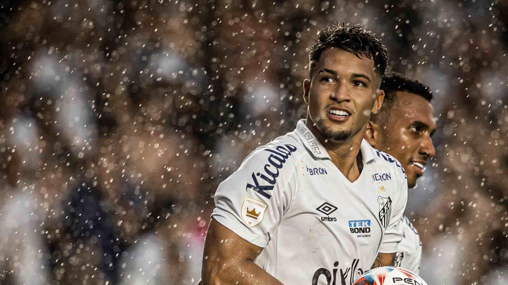 أحمد فتحي يعلن قائمة سيدات طائرة الزمالك المشاركة فى كأس العالم للأندية 